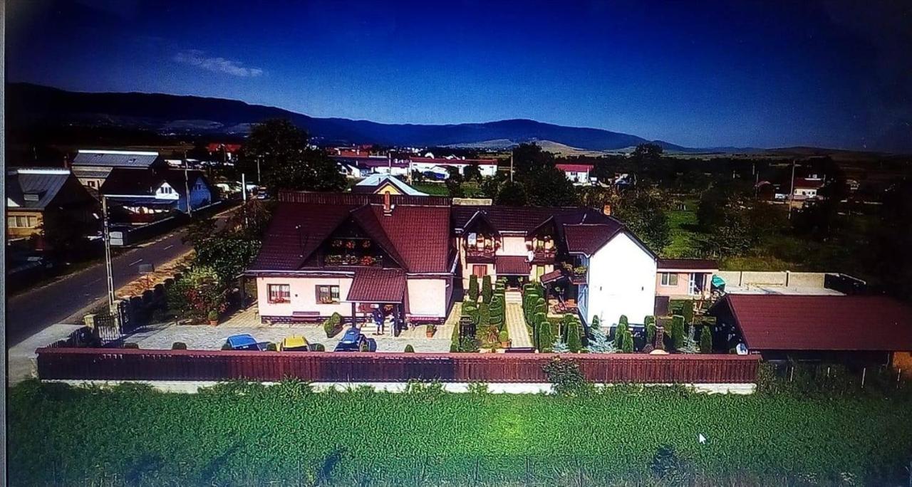 Pensiunea Denisa Sacalusesti Exterior photo